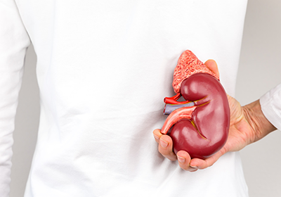 腎臓自体の病気